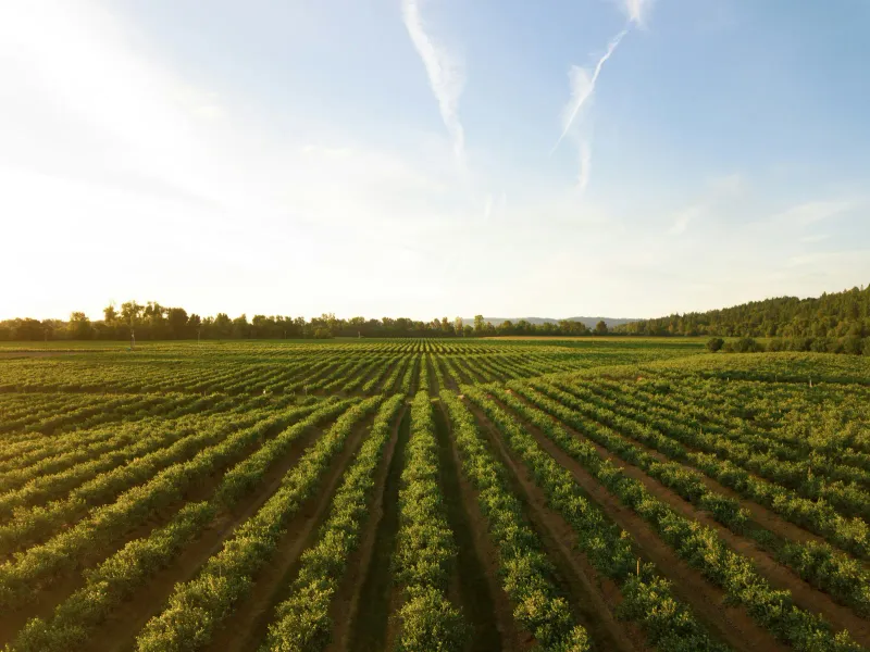 Biographica raises £7M for AI-driven crop design
